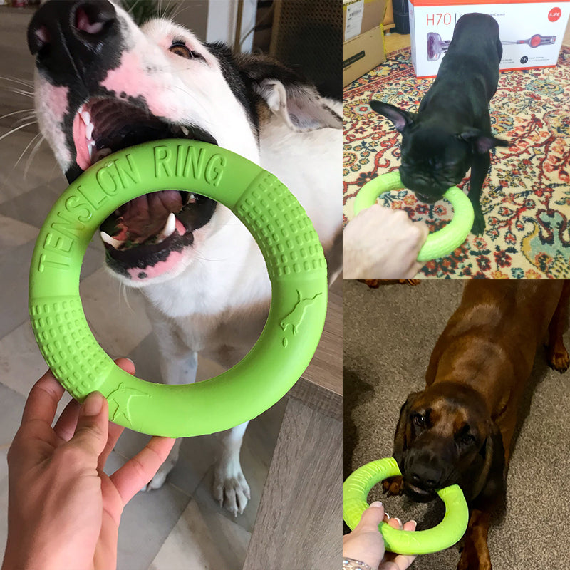 Dog Toys For Big Dogs Eva Interactive Training Ring Puller Resistant
