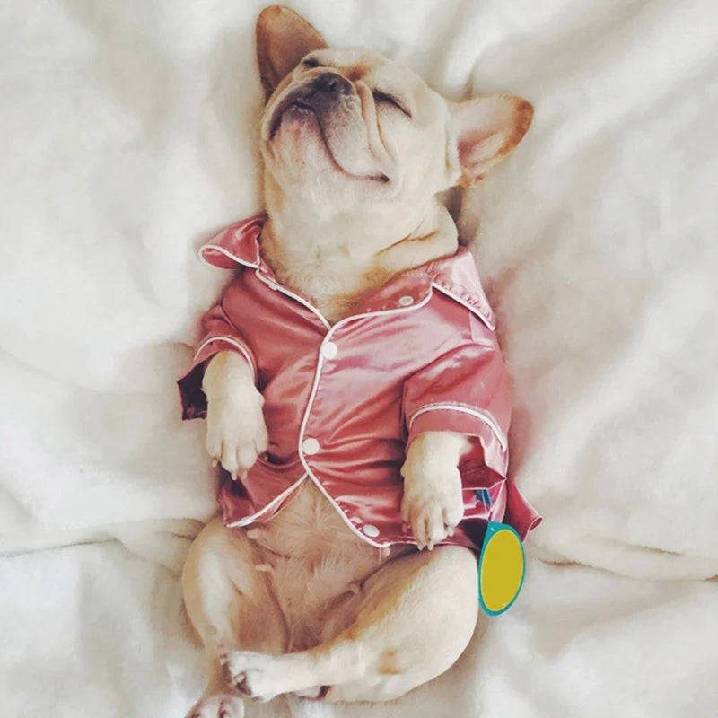 Luxuriöser Pyjama-Mantel für Haustiere