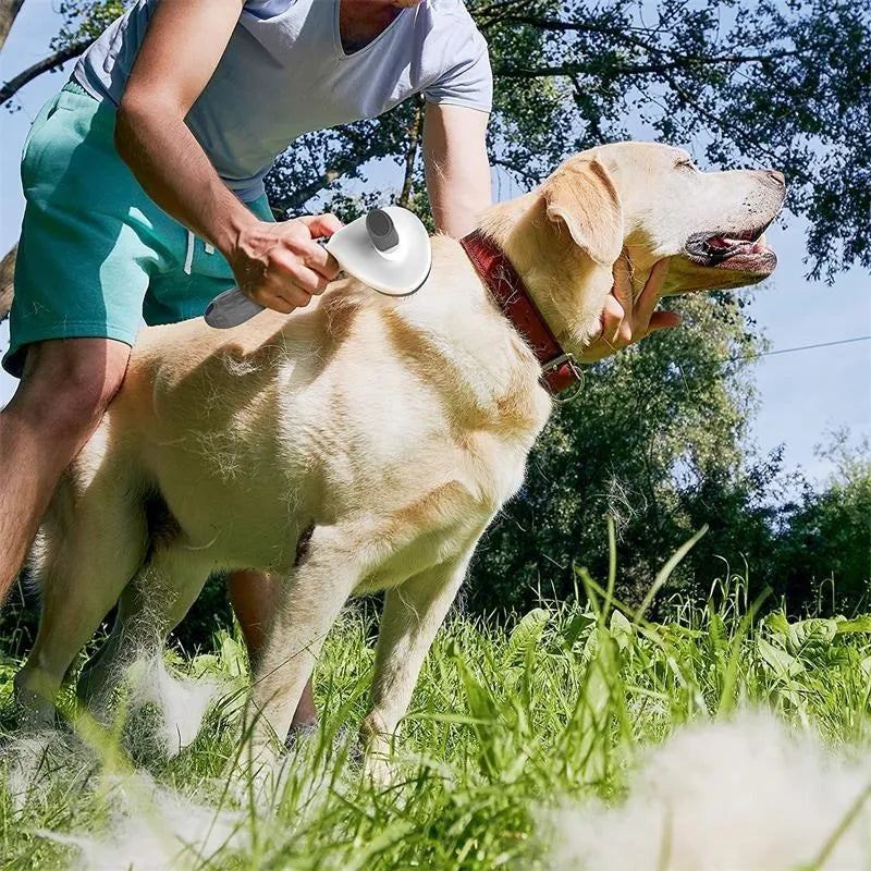 Tierhaarentfernungsbürste