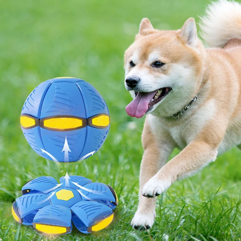 Pet Magic Flying Saucer Ball