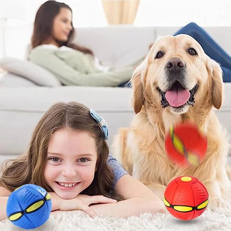 Pet Magic Flying Saucer Ball