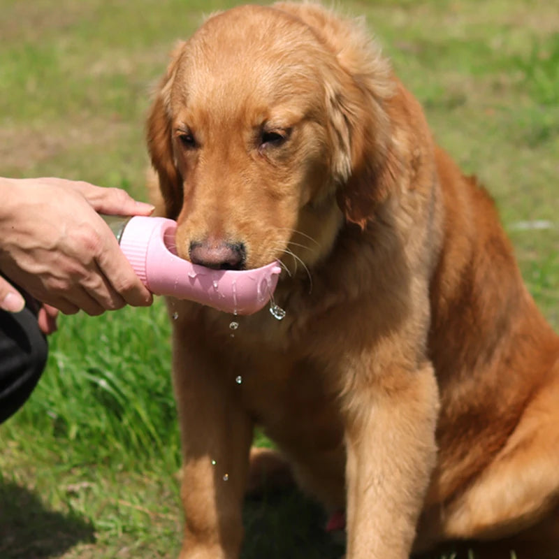 Tragbare Wasserflasche für Hunde