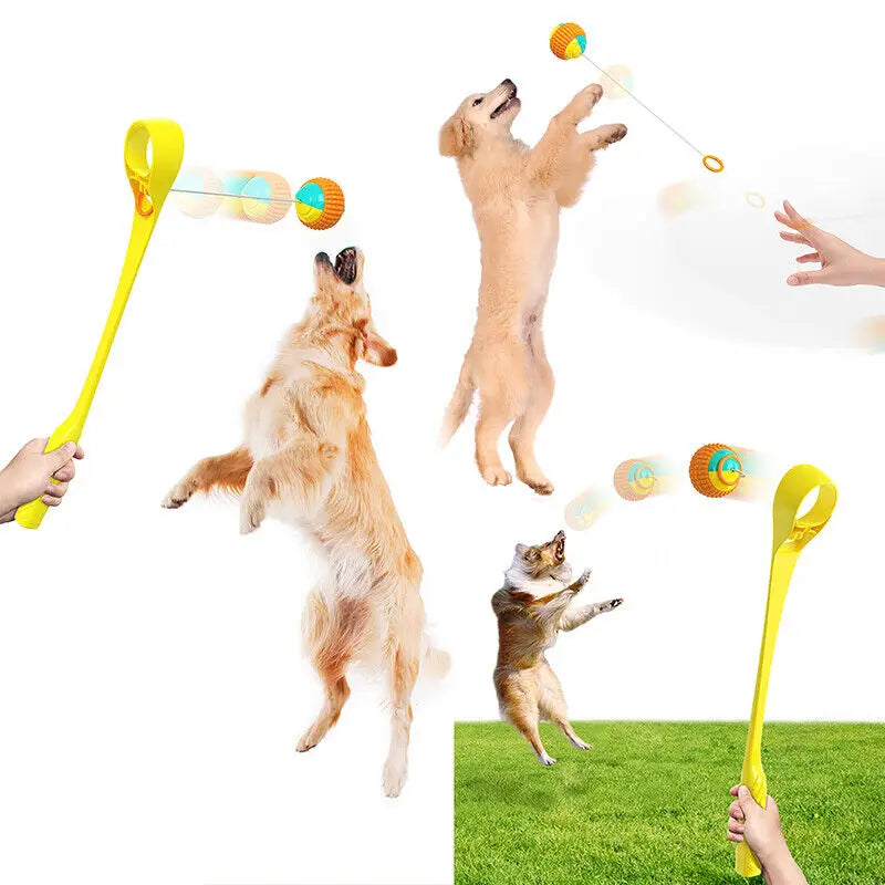 Luftschlagwerfer für Hunde